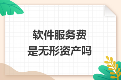 软件服务费与无形资产 概念辨析与会计处理